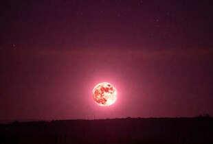 Повня в квітні: коли над Україною зійде Рожевий Місяць